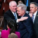 The Influence of Congressional Lobbyists