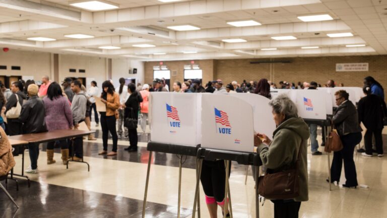 How Voter Turnout Shapes Elections