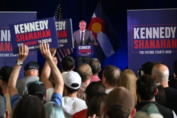 The Impact of Third-Party Candidates in Elections