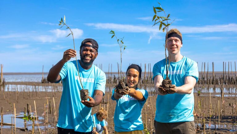 Ways Republicans Approach Environmental Issues