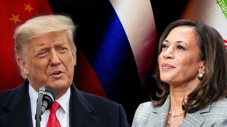 What Role Do Political Candidates Play In Elections